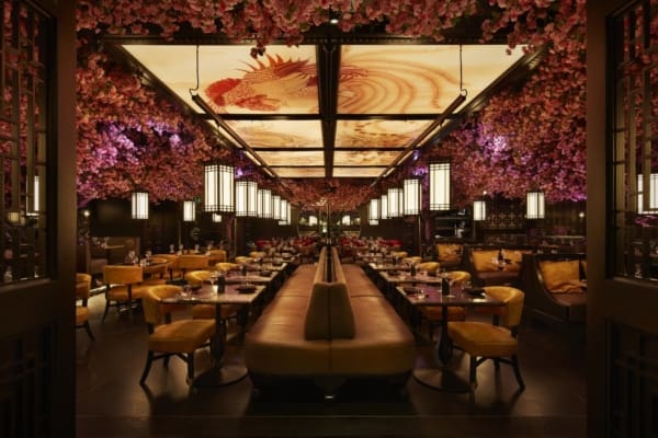 An elegantly decorated restaurant features lush cherry blossom arrangements hanging from the ceiling and traditional lantern-style lighting. Enhanced by ceiling illumination from LED light sheet panels, seating includes plush chairs and leather booths, with intricate wooden partitions adding to the sophisticated ambiance.