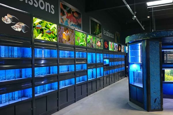 A well-lit aquarium store displays rows of blue-lit fish tanks along the walls, each tank containing various fish and aquatic plants. Colorful posters of fish and aquatic scenes line the top of the retail pet enclosures. An additional large cylindrical tank stands in the center.